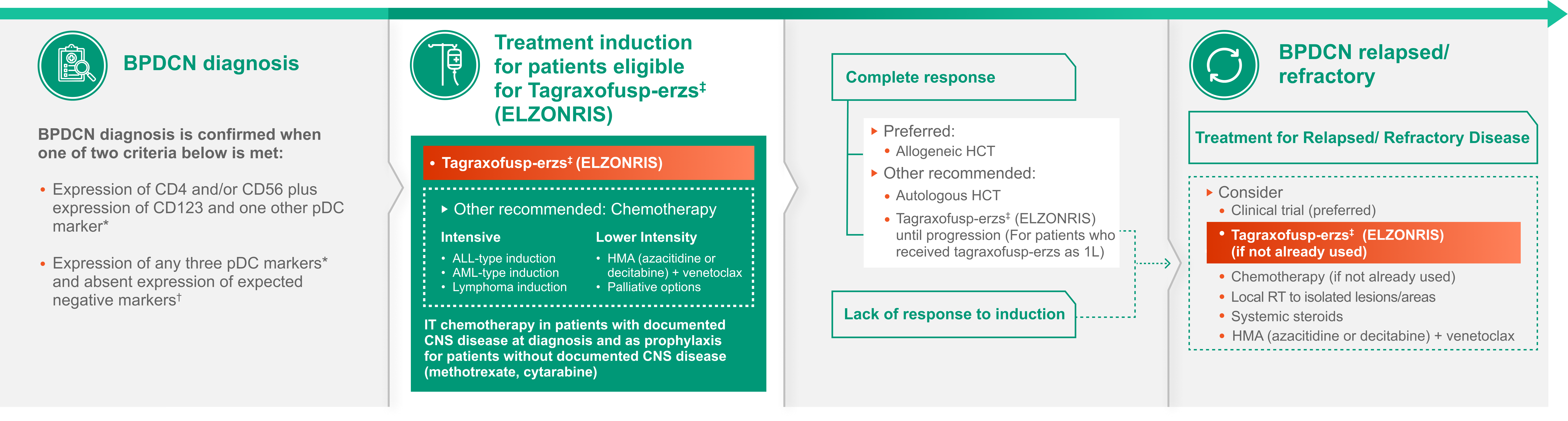 Blastic plasmacytoid dendritic cell neoplasm