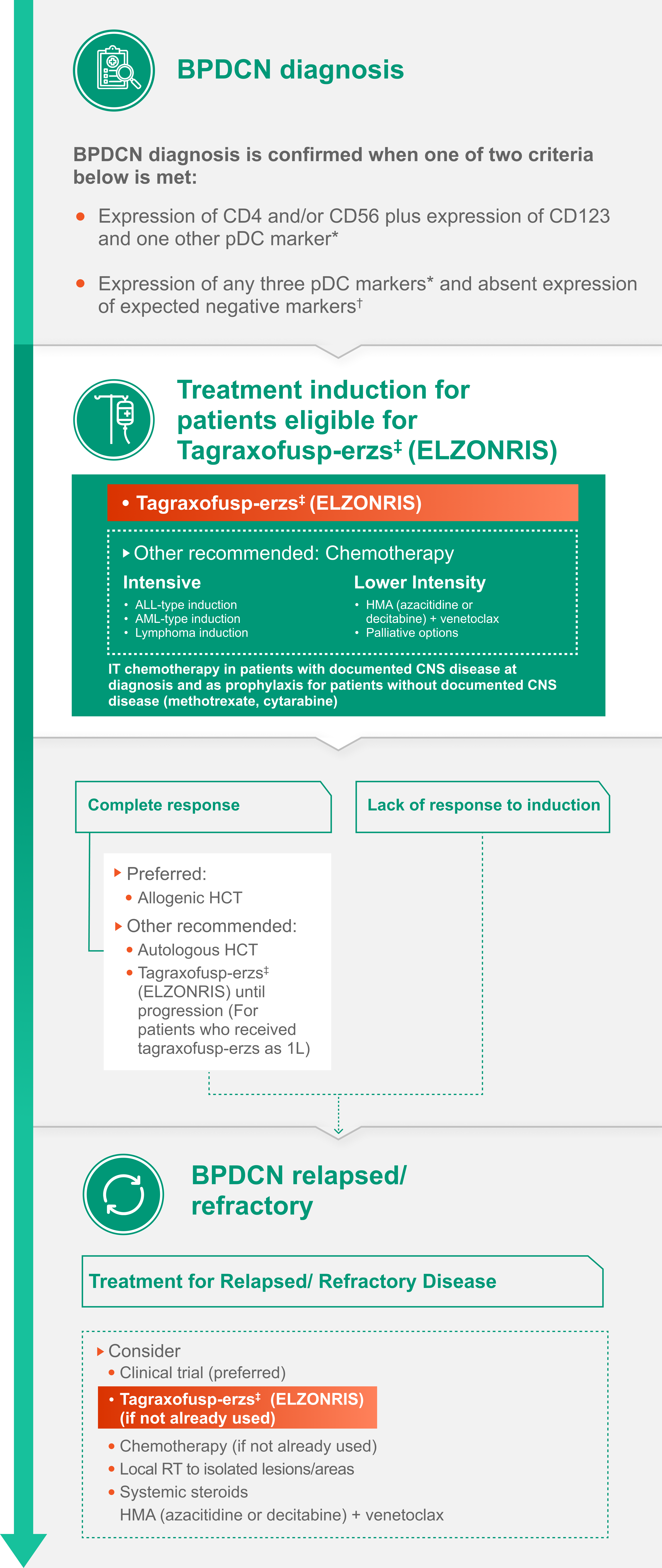 Blastic plasmacytoid dendritic cell neoplasm